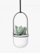 Hanging Planter, 5 Pot, White