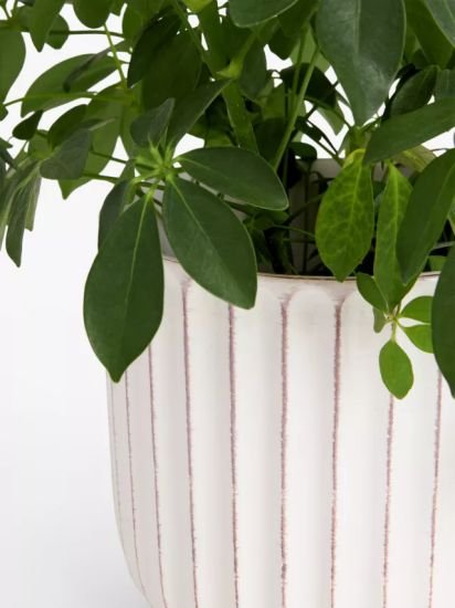 Country Ribbed Earthenware Indoor Planter, 23cm, White